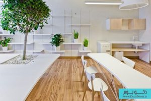 طراحی داخلی دفتر کار سبز 